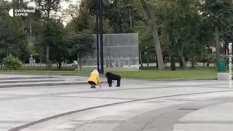 Ukraine In Kharkiv, a chimpanzee escaped from a zoo.