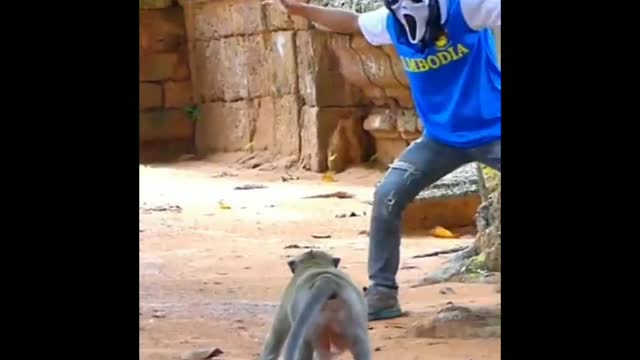 Ghost VS Monkey Prank