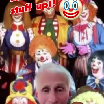 You just could not make this Stuff up 🤡