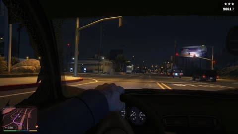 Wild Night in GTA5