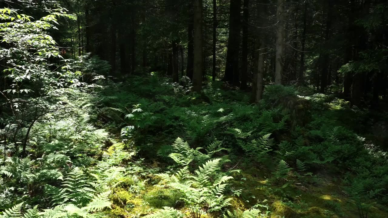 Health & Wellness Tourism 2024 part 1