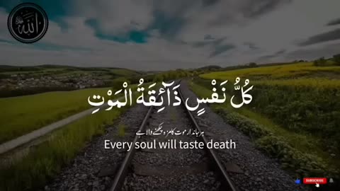 Beautiful Quran Pak Recitation | Stunning Talawat (Recitation) of the Holy Quran