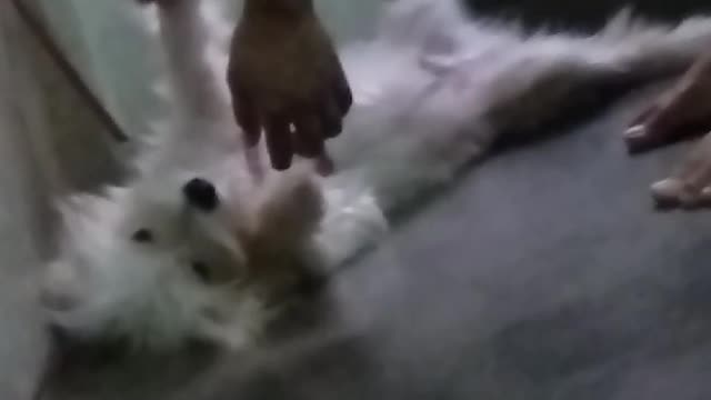 He really don't want to take a bath🤣