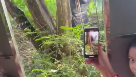 Dinosaur Theme Park Thrills Guests