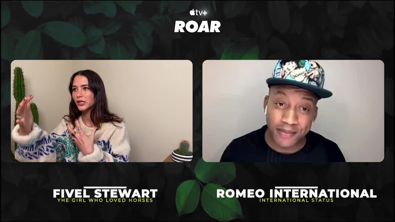 Fivel Stewart / Romeo International