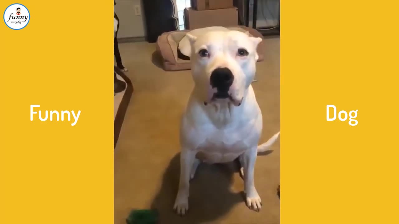 Funny pets with Kids || SUBSCRIBE