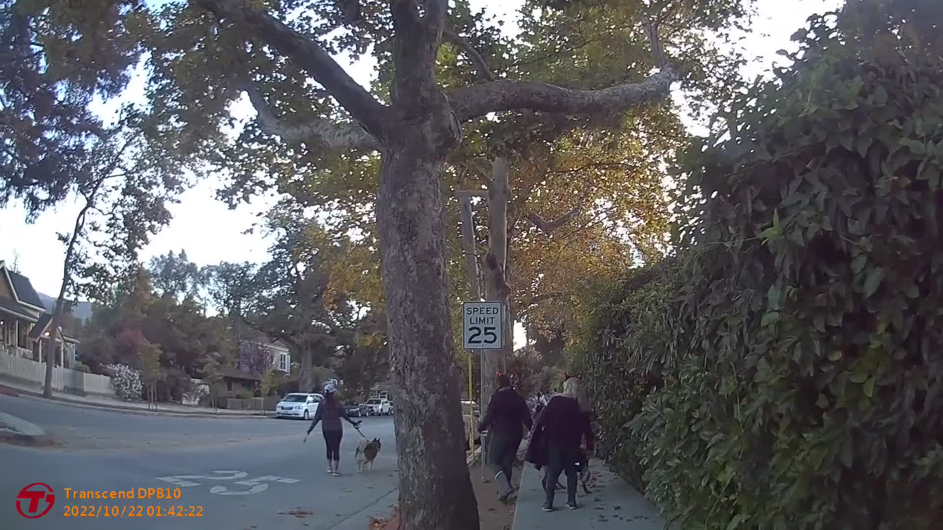 Silicon Valley Mayors Join Radical Liberal Erica Zamoras Pride Parade, Los Gatos, CA