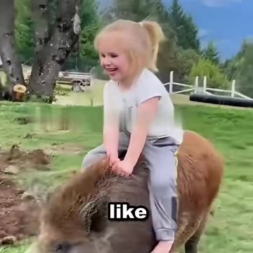 A Kind Man's Compassion for a Lost Wild Boar ❤️😊