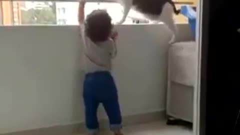 cat tries to prevent the child from climbing in order not to fall