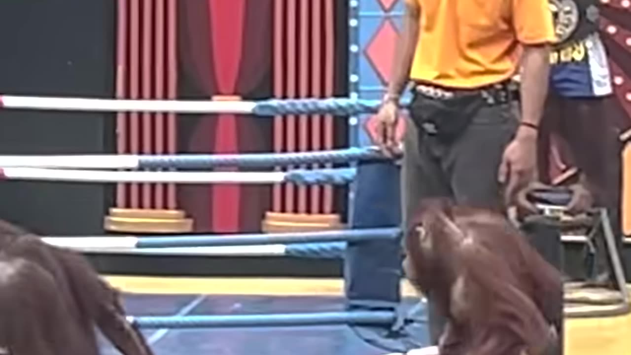 Monkey rescuing