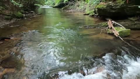 love wading fishing