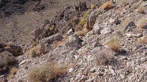 Shadow Mountain 2 - Pahrump, NV