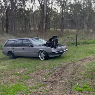 funny|prank|jokes|funny jokes|dad jokes|funny memes|funny video|fun|laughing|funny animal|knock