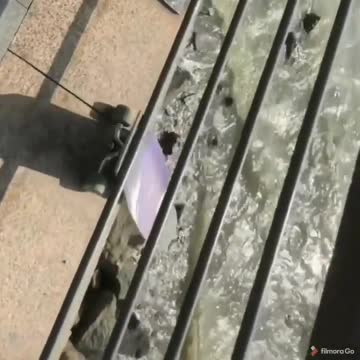 Hey, Check this out!