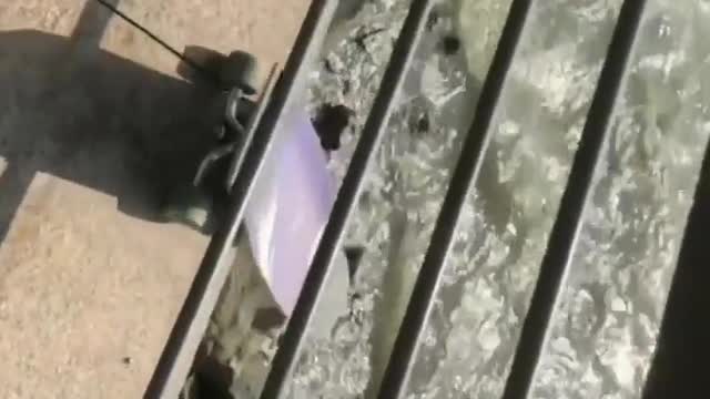 Hey, Check this out!