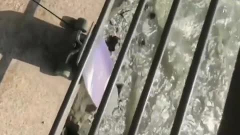 Hey, Check this out!