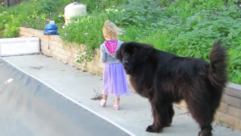 dog supervising the little girl.