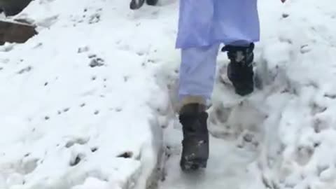 Snowagal