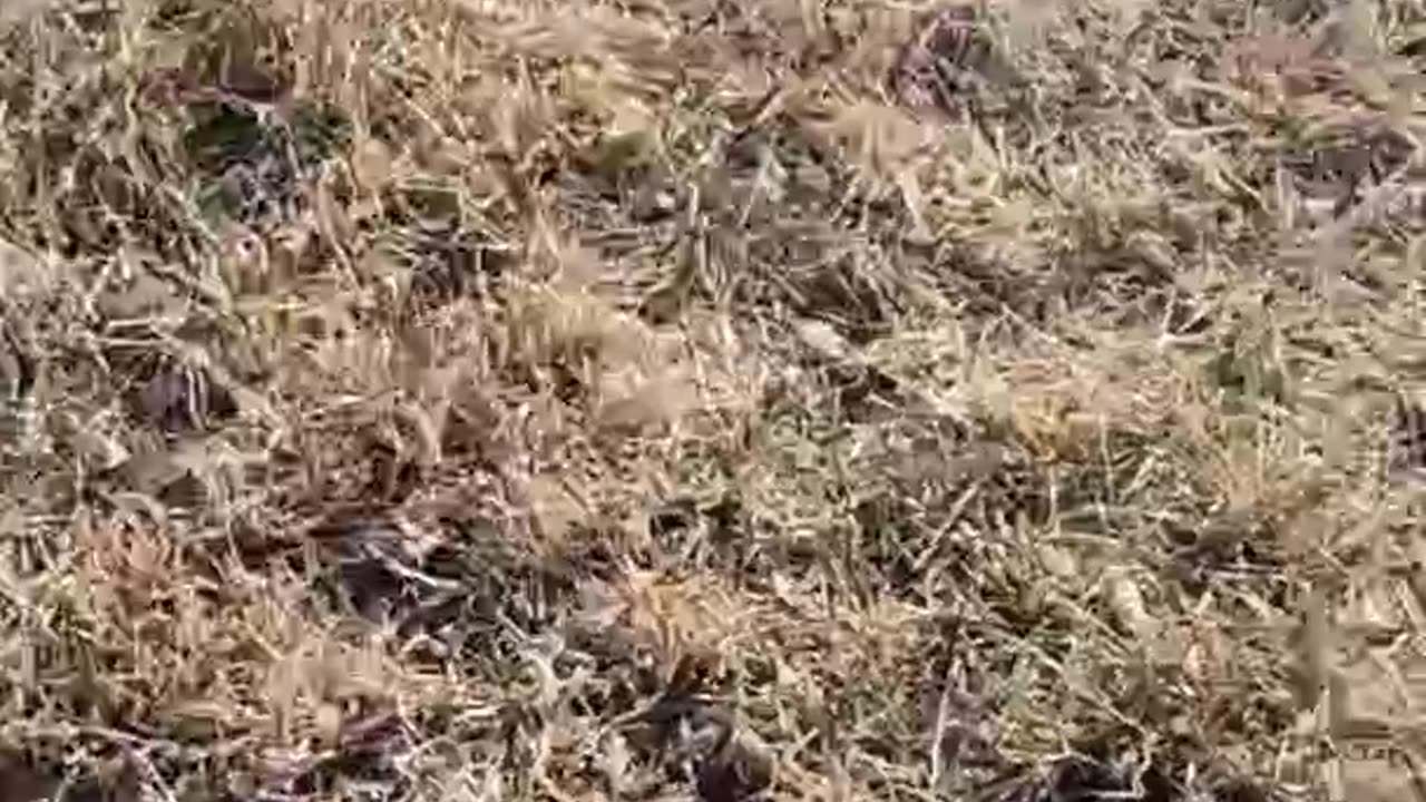 What will stop a bullet