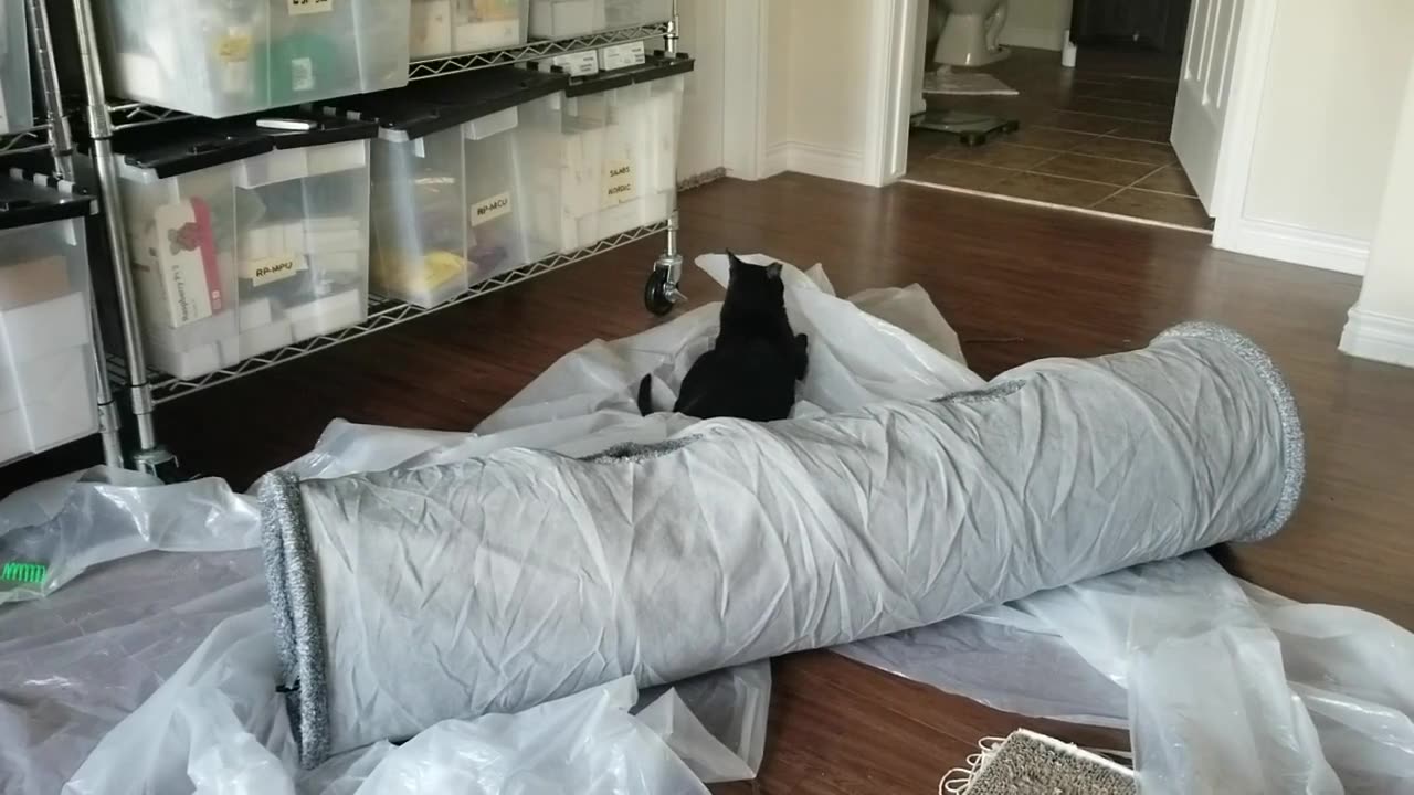 20240925 092041 Tux Tree Fort Radicalized