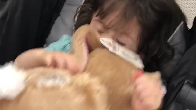 Milas first build a bear- rabbit