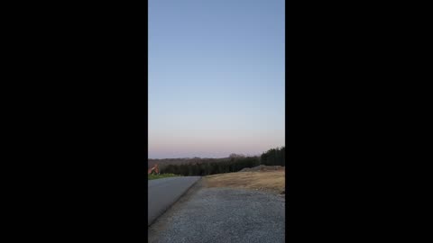 Morning Nature ASMR (No Talking)