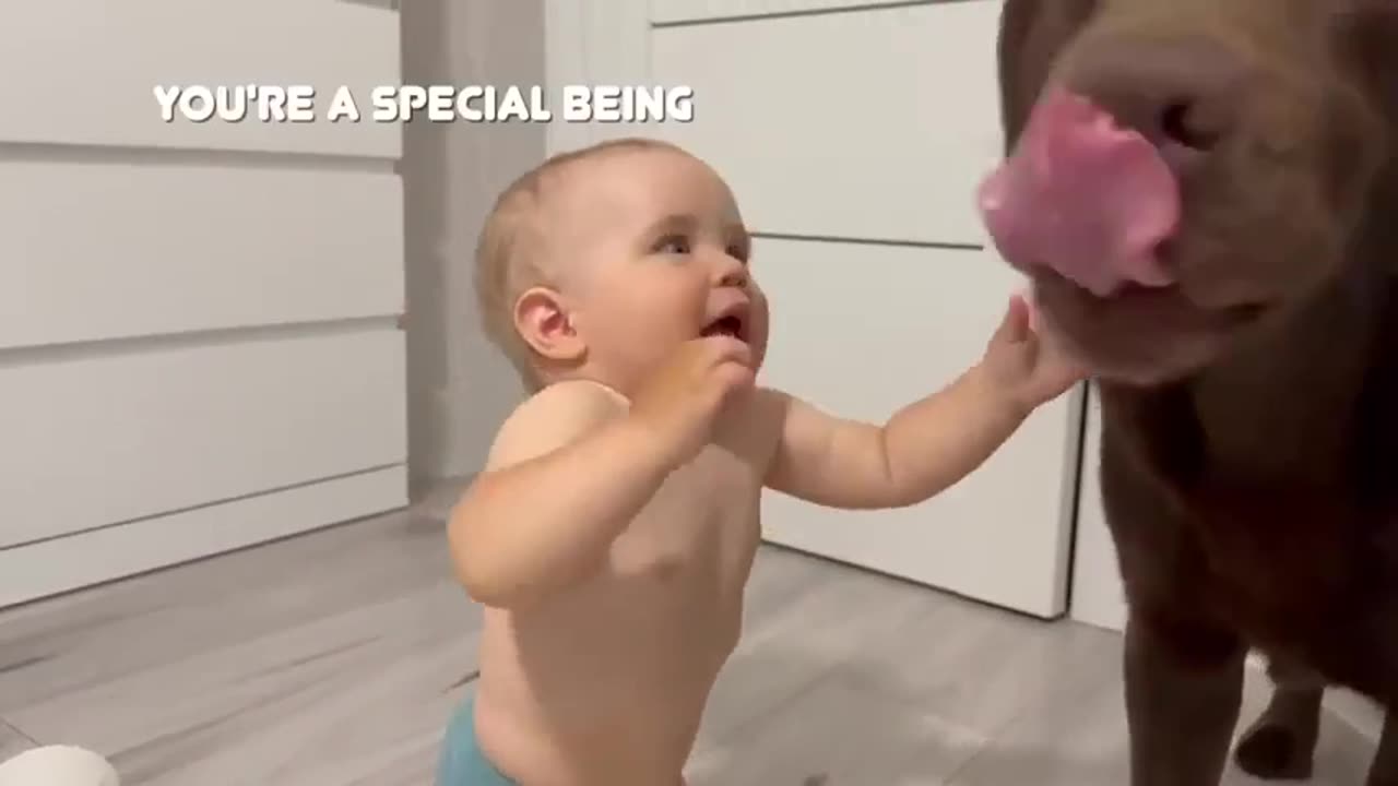 Lovely Kid & Black Pet Dog