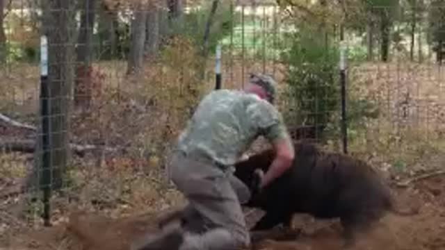 Jason vs Wild Hog