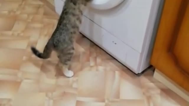 The washing machine keeps a secret.