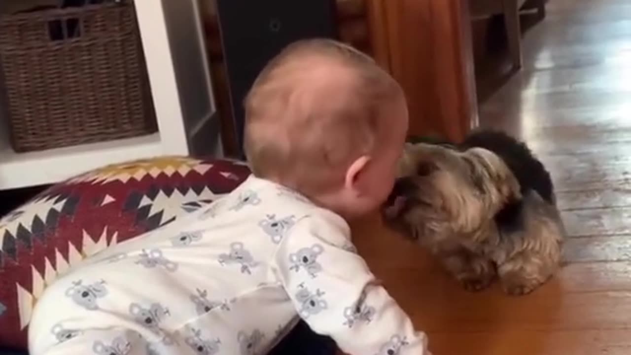 baby and dog cute