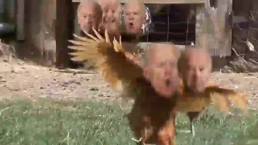 🤣🤣🤣🤣🤣🤣🤣🤣🤣
