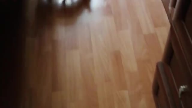 help tidy up