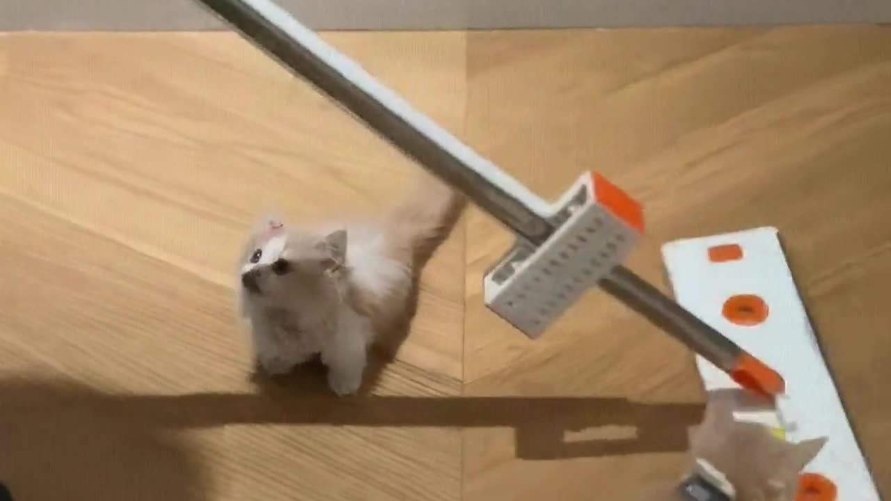 When mopping the floor, he always causes trouble
