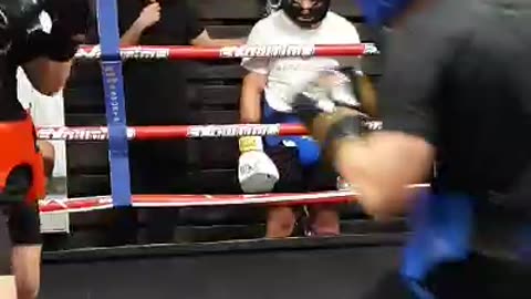 Sparring boxing