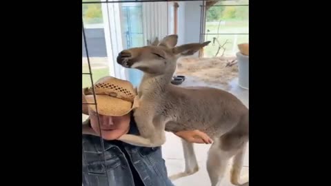 Kangaroo Choke