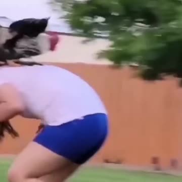 Various instances of pets being petted by residents No. 37