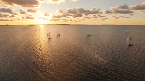 Small sailboat