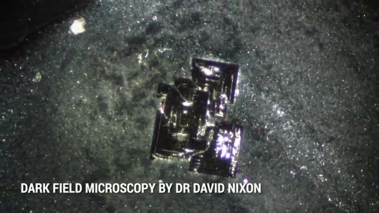 Dark field microscopy by Dr David Nixon ~ Team Enigma