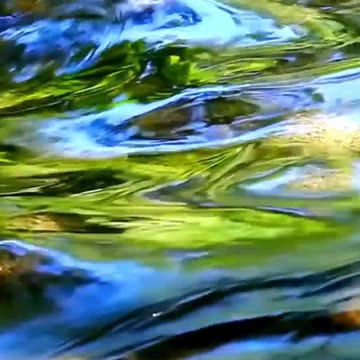 I Release Shame and Guilt and Accept Myself as I Am, while Holding the Desire to Lose Weight #174hz