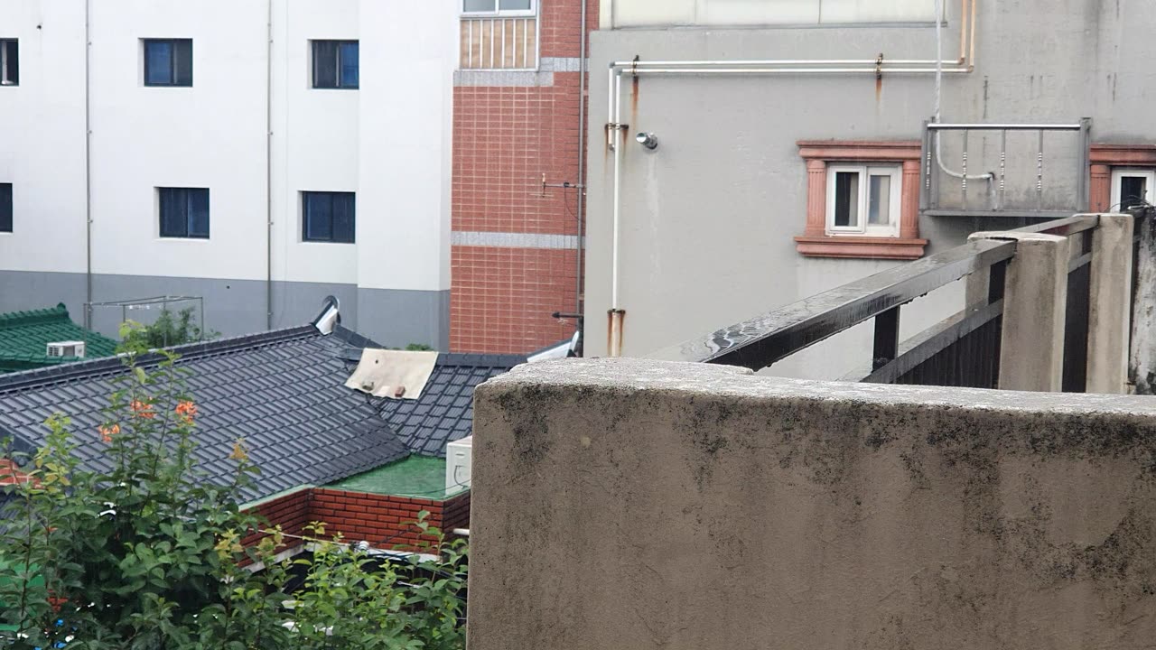 the roof of an alley on a rainy day