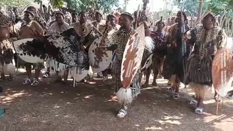 WATCH: Zulu Regiments Showcase THeir Dance Skills