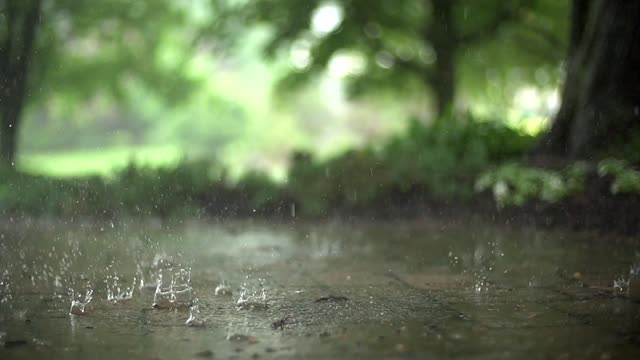 Bd rain nature