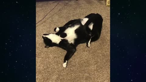 Caught himself in a trap