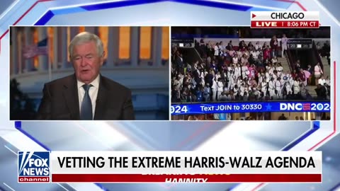 Newt Gingrich: Were Dems On Drugs When They Came Up With Kamala's Economic Plan?