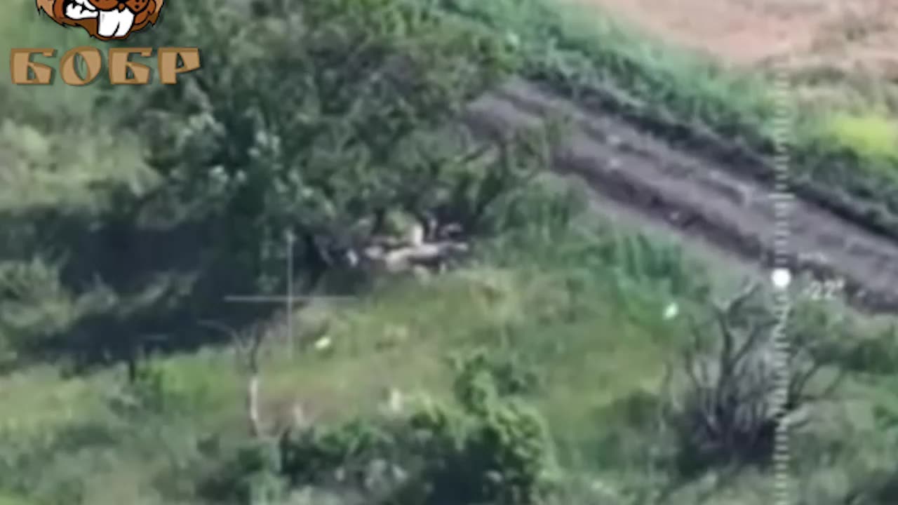 Beaver Hunts Down a Group of Ukrainians