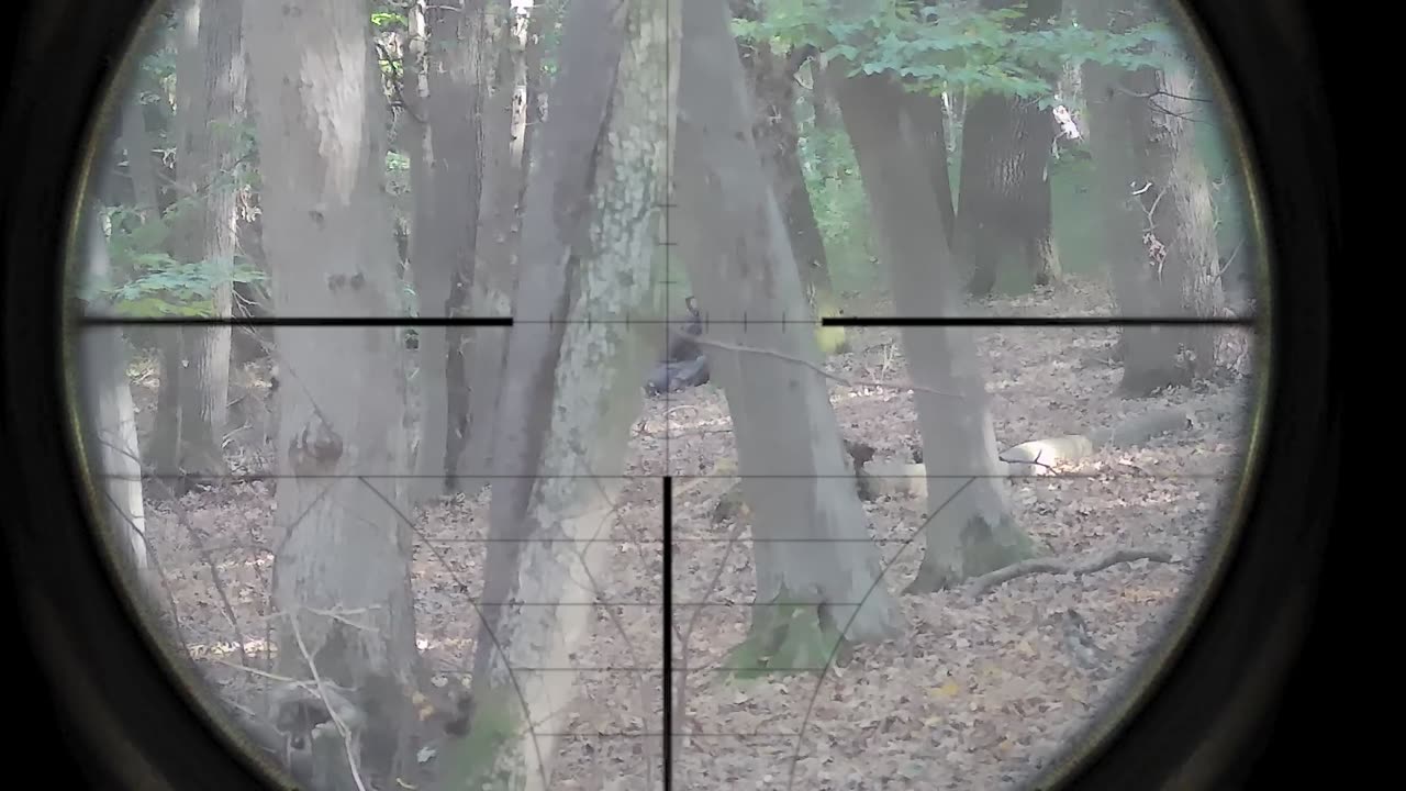 A short game at Pappermint Park reviving my SRS
