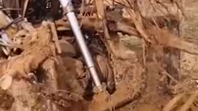 🔥 Top Trending | The Best Videos Compilation