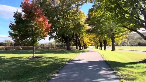 A Walk Enjoying Fall Colors