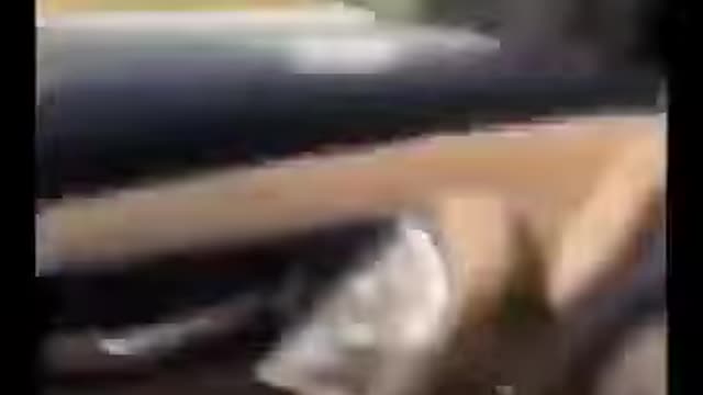 a guy on the road throws a snake in a girl's car