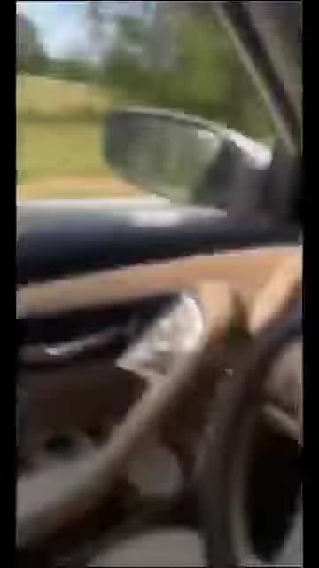 a guy on the road throws a snake in a girl's car